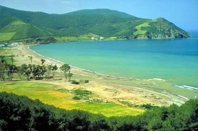 atarat_mohamad@hotmail.com